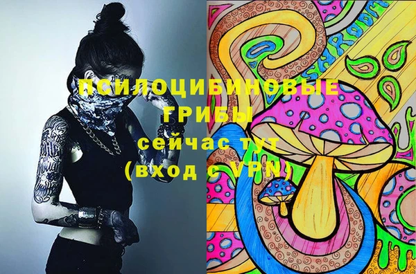 марки nbome Алзамай