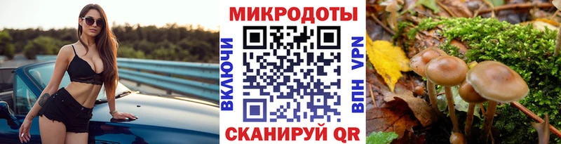 МЕГА ссылки  купить наркотик  Миасс  Псилоцибиновые грибы Psilocybe 