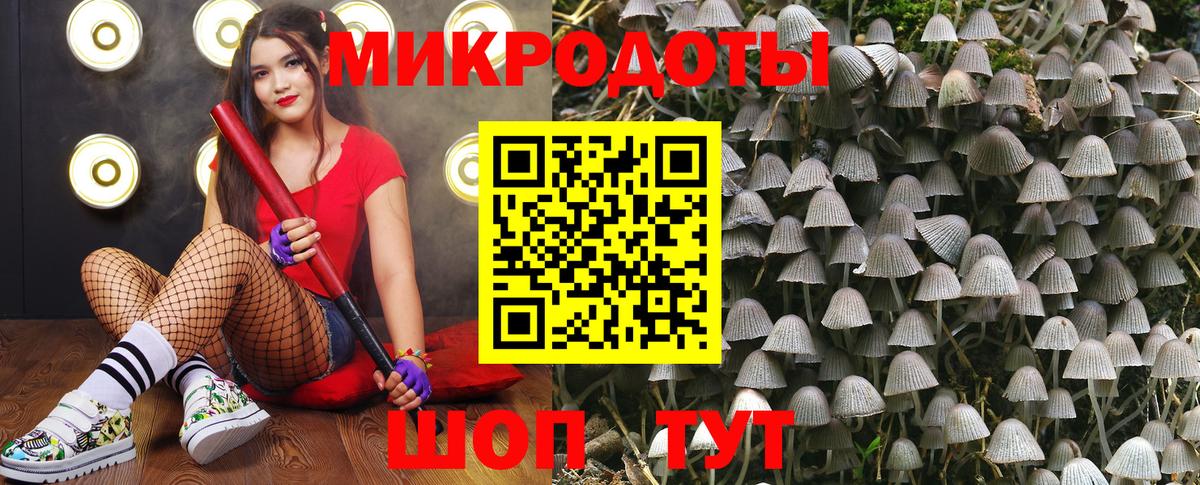 Псилоцибиновые грибы мухоморы Миасс
